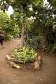 leipzig zoo-01_07_2011_gondwanaland_129